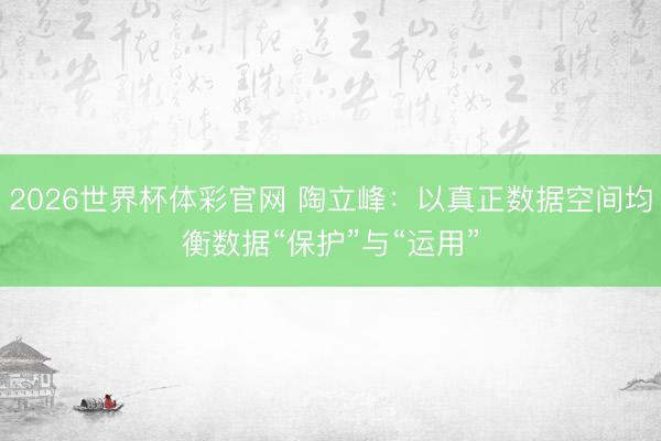 2026世界杯体彩官网 陶立峰:以真正数据空间均衡数据“保护”与“运用”